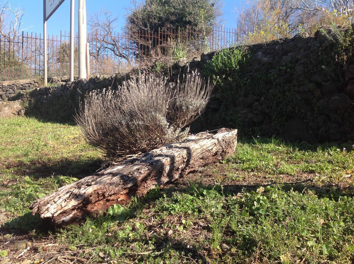ホテル Le Cisterne Dell'Etna Calcerana-Marina エクステリア 写真